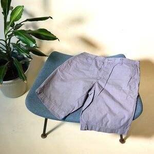 Casual Men's Lavender Shorts